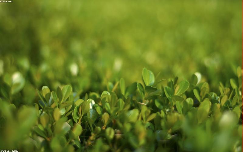 Aircraft at Mexico City Airport